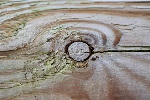 The abstract tree trunk texture pattern Stock Photos