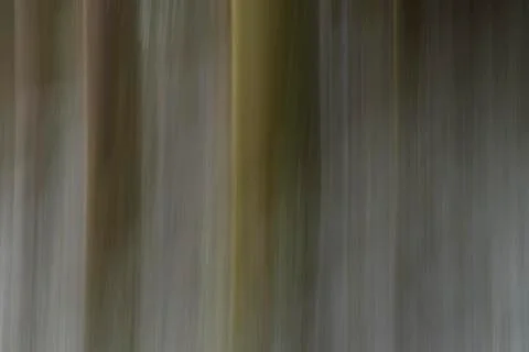 Abstract tree trunks, motion blurred, Belledonne mountains, Isere, France Stock Photos