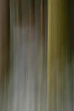 Abstract tree trunks, motion blurred, Belledonne mountains, Isere, France Stockfoto's