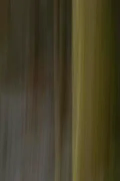 Abstract tree trunks, motion blurred, Belledonne mountains, Isere, France Stockfoto's