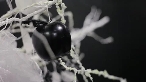 Abstract tree with white and black apples at the party Stock Footage 52817239