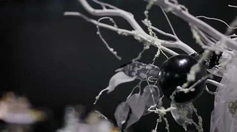 Abstract tree with white and black apples at the party Stock Footage 52817370