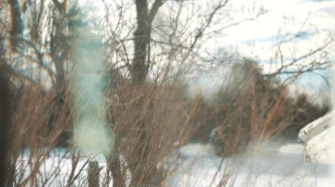 Abstract Tree's Shot through Glass Wind Chimes. Stock Footage 58625319
