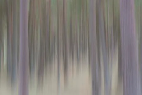 Abstract trees in vertical blur. Stock Photos
