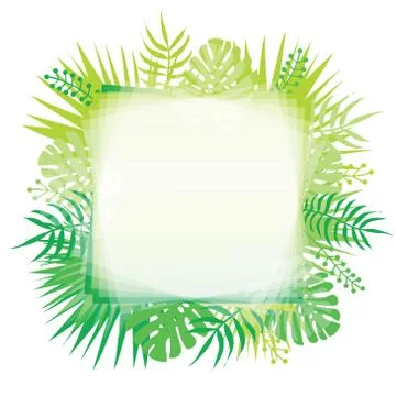 Abstract trendy template with gradient backgrounds and tropical leaves. Stock Illustration