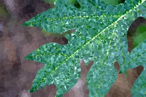 Abstract Triangles of bright green leaf for background use Stock Photos