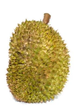 Abstract Triangles of Durian fruit for background use, Illustration Stock-Fotos