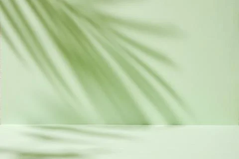 Abstract tropic mint-colored background with soft palm tree shadows like a Stock Photos