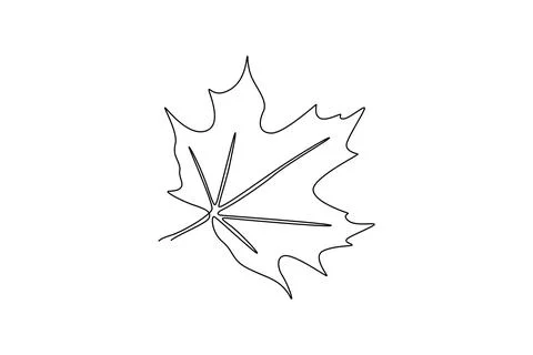 Abstract tropic spring maple leaf. Botany natural eco concept Stock Illustration