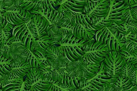 Abstract tropical background rainforest leafs Stock Illustration