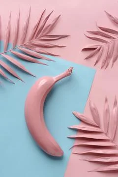 Abstract tropical composition Stock Photos