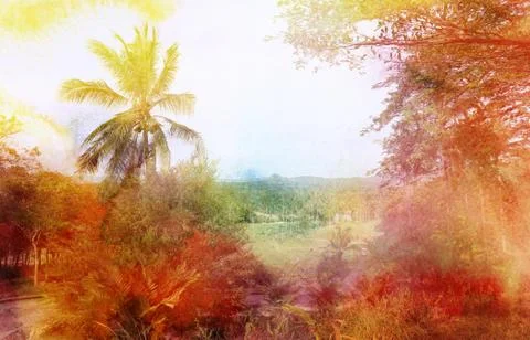 Abstract tropical landscape Stock Illustration