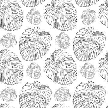 Abstract tropical monstera  leaf seamless pattern background. Vector Illustra Illustrazione stock