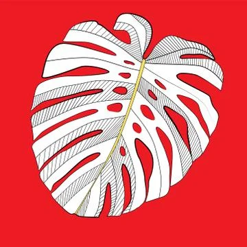 Abstract tropical monstera  leaf. Vector Illustration Stock Illustration