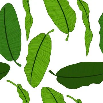 Abstract tropical palm  leaf seamless pattern background. Vector Illustration イラスト素材