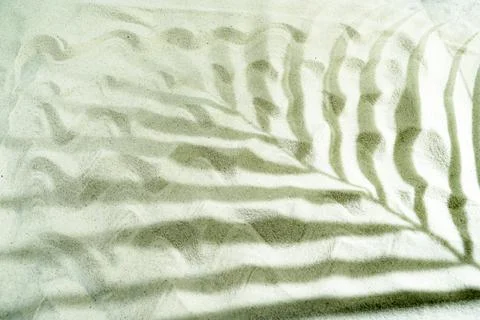 Abstract tropical palm leaf shadow cast on wavy white sand, creating a sere.. Stock Photos