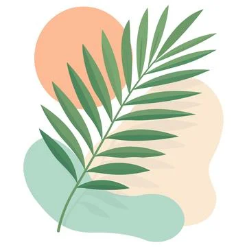 Abstract tropical palm leaf vector illustration 스톡 일러스트