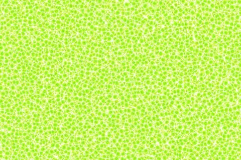 Abstract tropical pattern kiwi print Stock Illustration