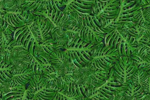 Abstract tropical pattern leaves glitter Stock Illustration