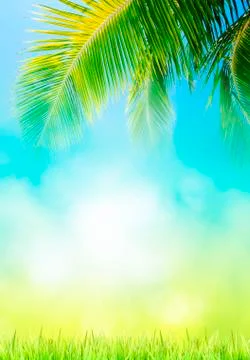 Abstract tropical theme Foto stock