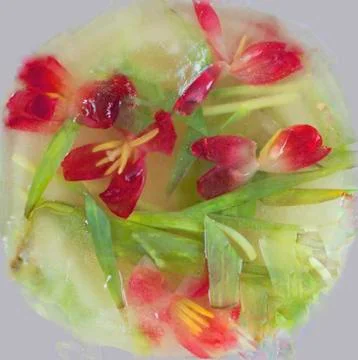 Abstract tulips background Stock Photos