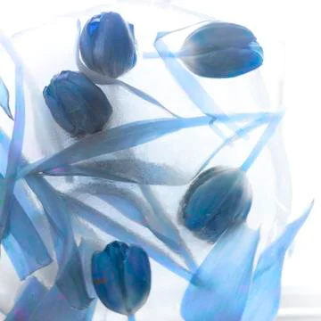 Abstract tulips background Stock Photos