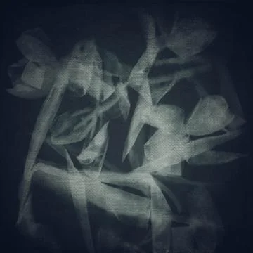Abstract tulips Stock Photos