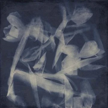Abstract tulips Stock Photos