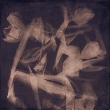 Abstract tulips Stock Photos