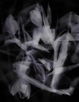 Abstract tulips Stock Photos