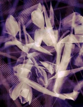 Abstract tulips Stock Photos