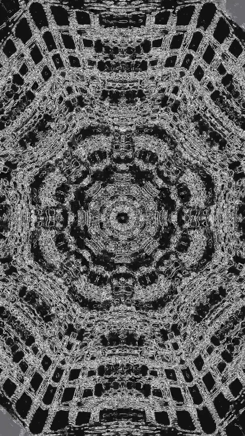 Abstract tunnel video vj loop screensaver black and white seamless loop vis.. Stock Footage 321576002