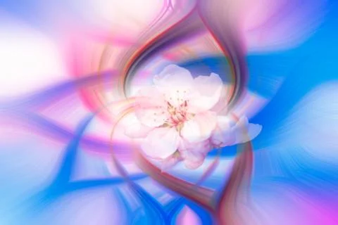 Abstract twirl effect background with flower Stock Illustration