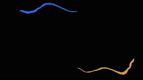 Abstract twisting lines resembling worms in yellow and blue colors, forming.. Stock Footage 237440631