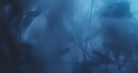 Abstract Underwater Composition Submerged  in Cyan Liquid Stock Footage 274955320