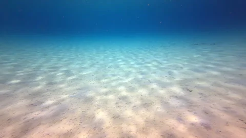 Abstract underwater Stock Footage 317188046