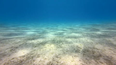 Abstract underwater ocean Stock Footage 317187474