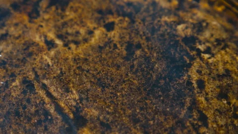 Abstract Underwater Rock Texture Beneath Crystal Clear Mountain Water Stock Footage 341071337