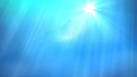 Abstract underwater scenery sunrays going through water surface in deep blue sea Stock Footage 163546823