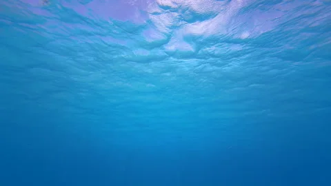 Abstract underwater sun on surface Stock Footage 317187528