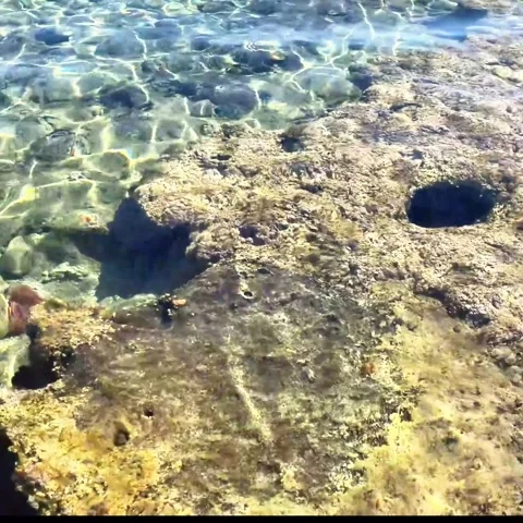 Abstract underwater texture of clear shallow sea water Stock Footage 335225085