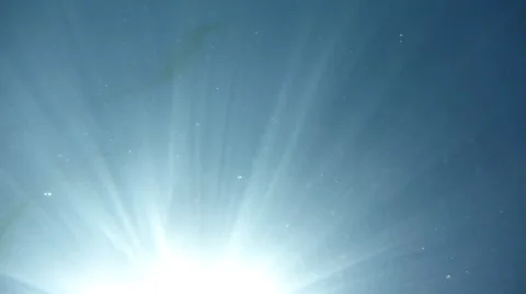 Abstract underwater video Video stock 50960115