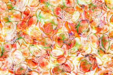 Abstract various fruits background Stock Illustration