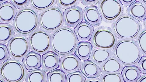 Abstract VDO of Interconnected Bubbles Translucent, Iridescent Patterns wit.. Stock Footage 314067346