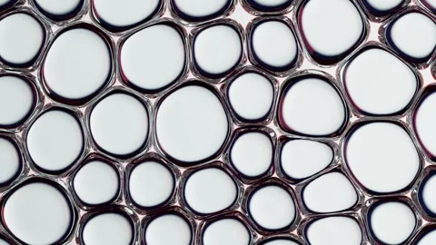 Abstract VDO of Interconnected Organic Shapes with Metallic Outline Resembling  Stock Footage 301488990