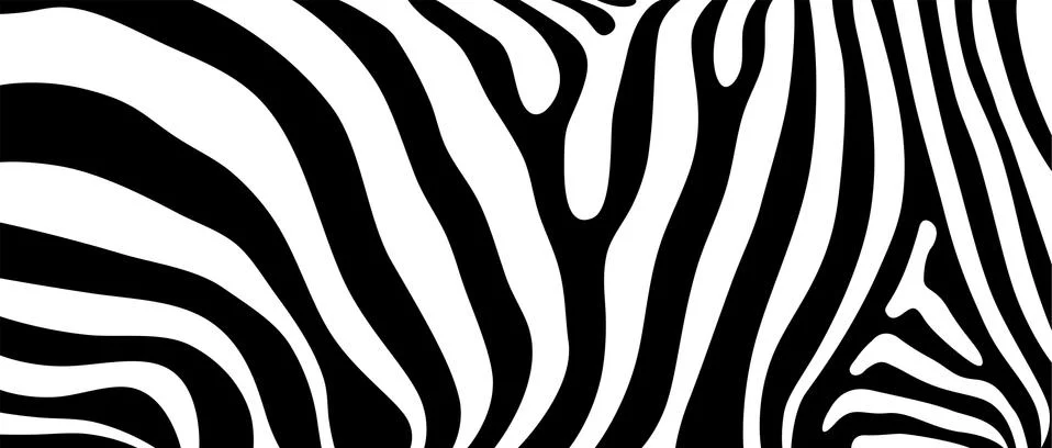 Abstract vector background based on animal pattern of zebra print Stock Illustration
