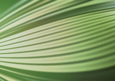 Abstract vector background with colorful gradient. イラスト素材