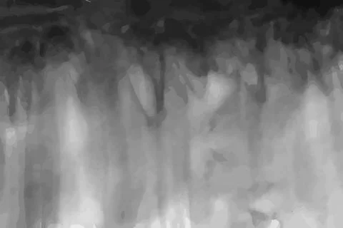 Abstract vector black and white background. Watercolor illustration. Backgrou Stock Illustration