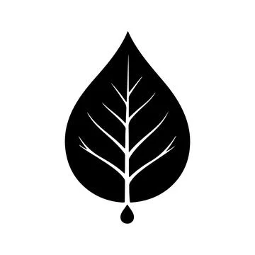 Abstract Vector Black leaf with veins and a drop in monochrome style Icon o.. Stock Illustration