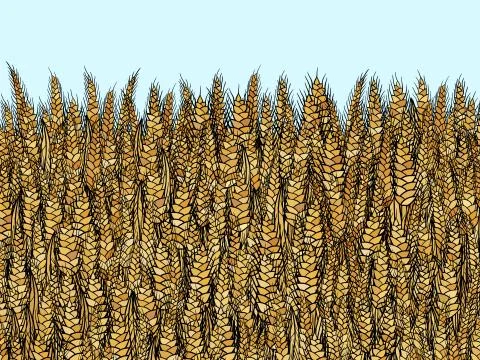 Abstract vector cartoon doodle wheat background イラスト素材